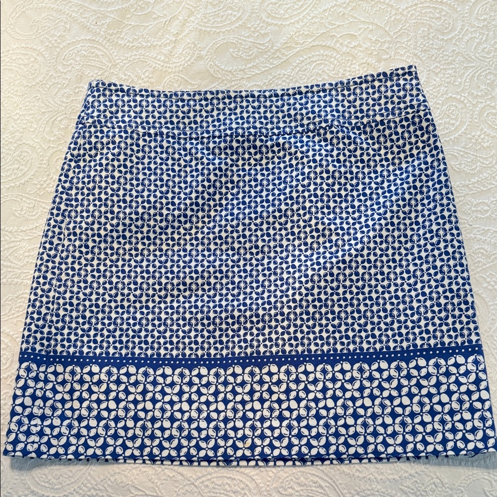 Talbots Blue and White Patterned Mini Skirt